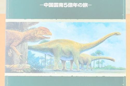商品写真