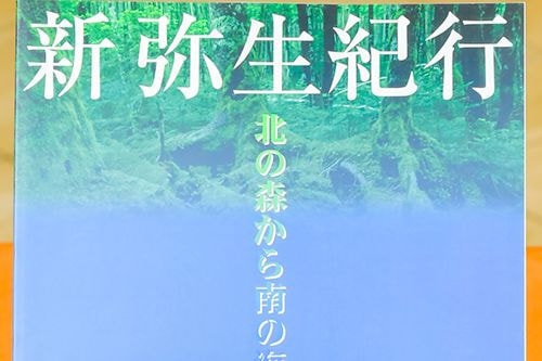 商品写真