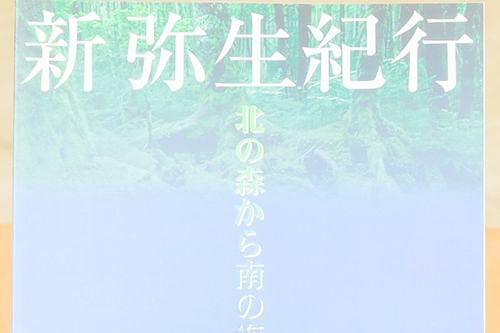 商品写真