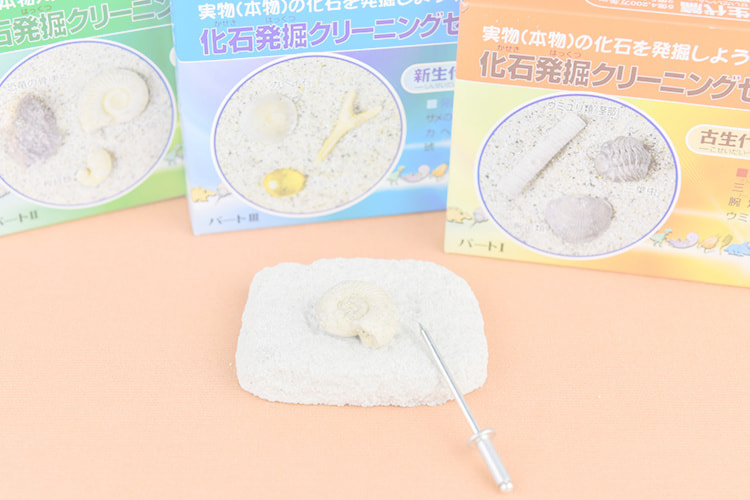 商品写真