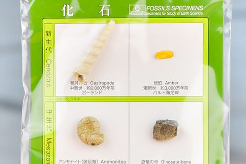 商品写真