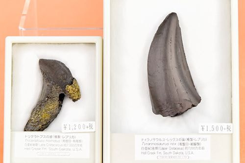商品写真