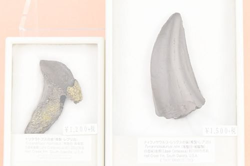 商品写真