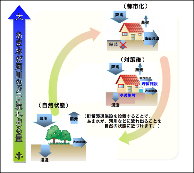 自然の循環システム