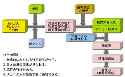 模式図