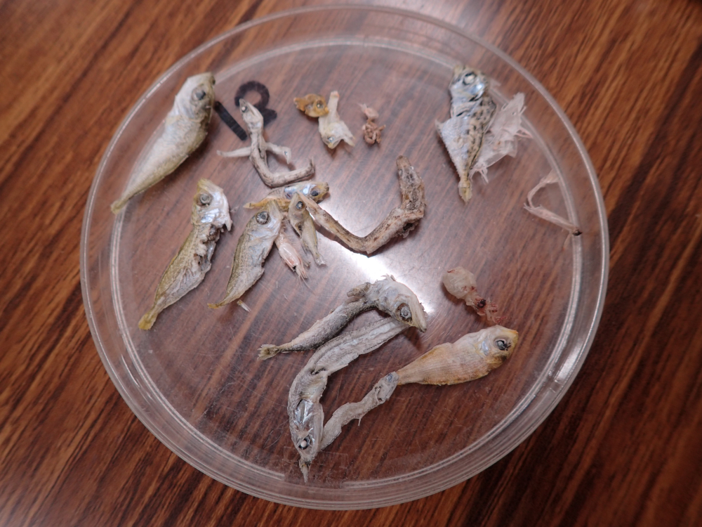 講座の様子